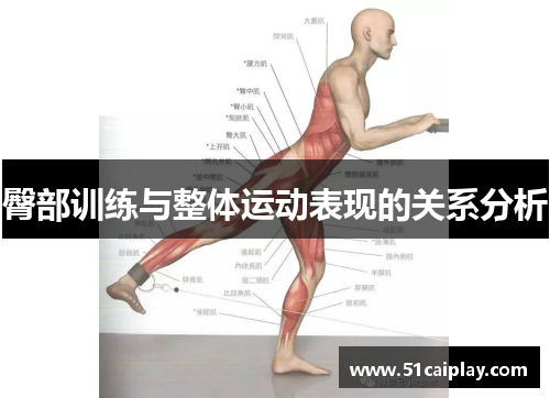 臀部训练与整体运动表现的关系分析